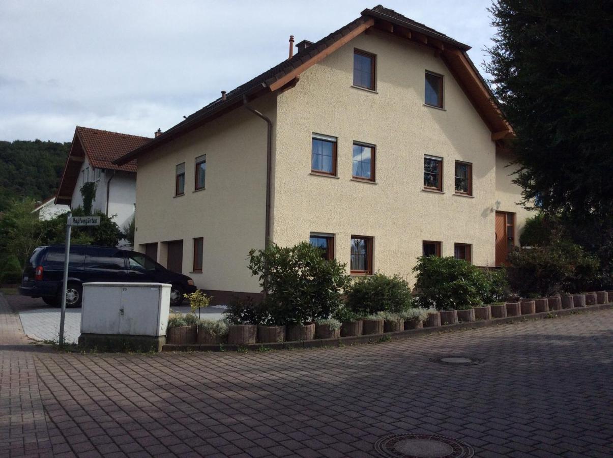 Mountain View Rooms Kindsbach Exteriör bild